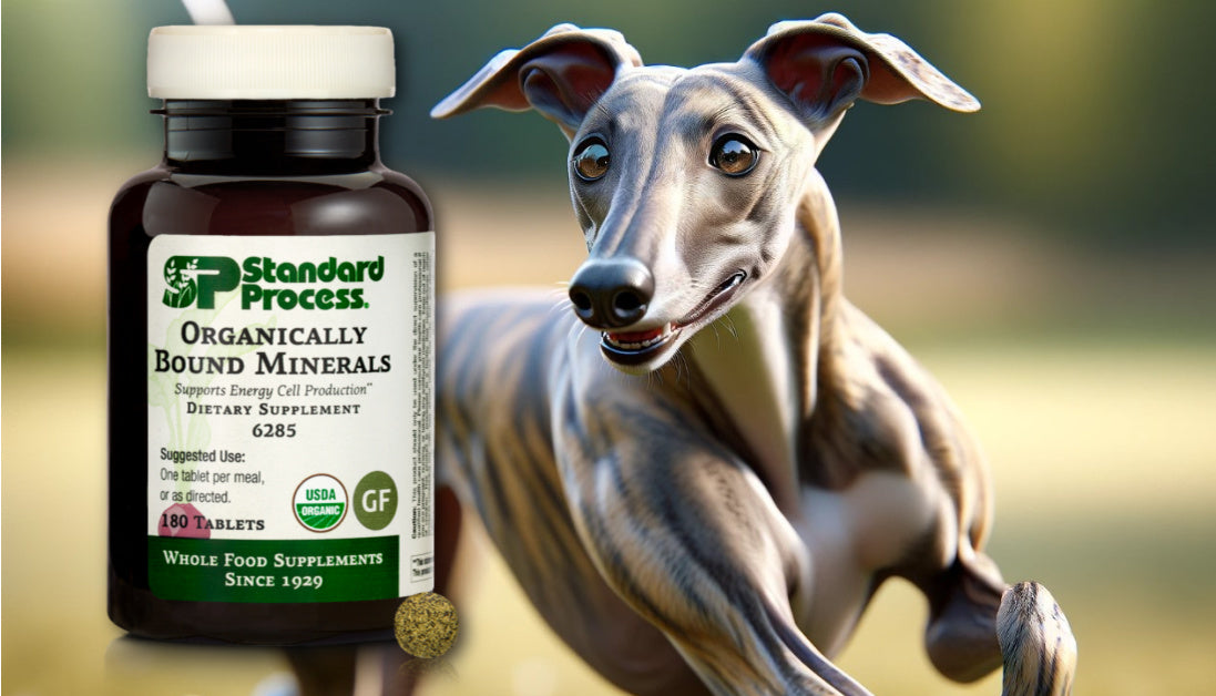 Organically Bound Minerals for Dogs Journeys Holistic Life