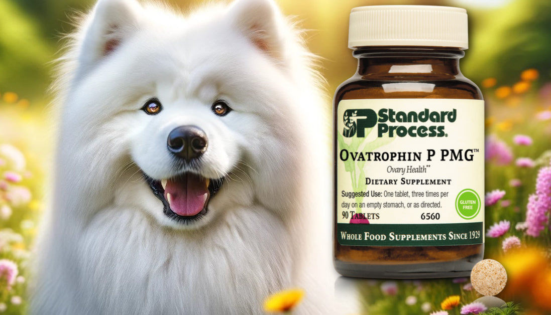 Ovatrophin PMG for Dogs Journeys Holistic Life