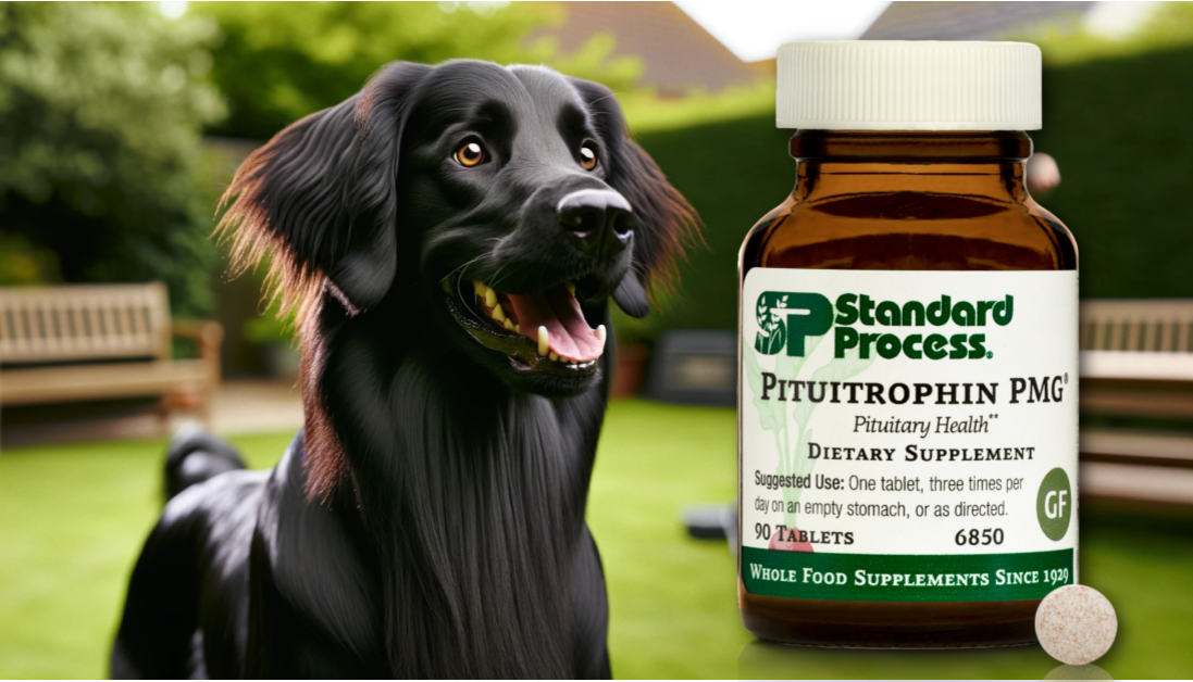 Pituitrophin PMG for Dogs from Standard Process Journeys Holistic Life