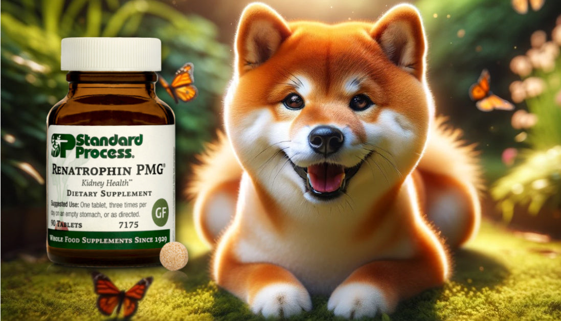Renatrophin PMG For Dogs Journeys Holistic Life
