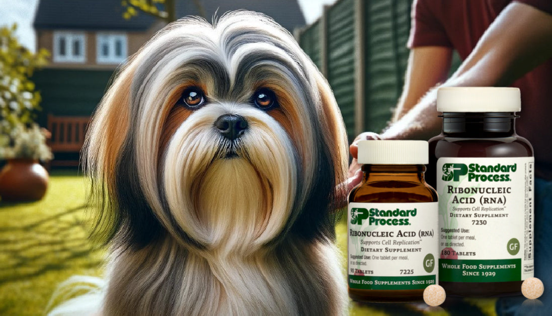 Ribonucleic Acid (RNA) for dogs journeys holistic life