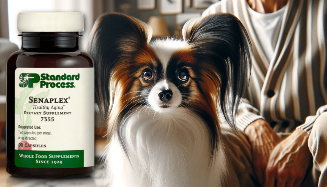 Senaplex for dogs journeys holistic life