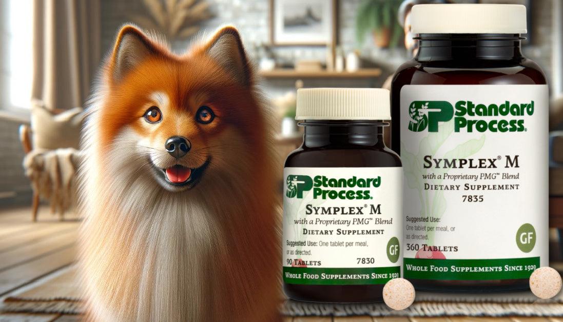 symplex m for dogs journeys holistic life