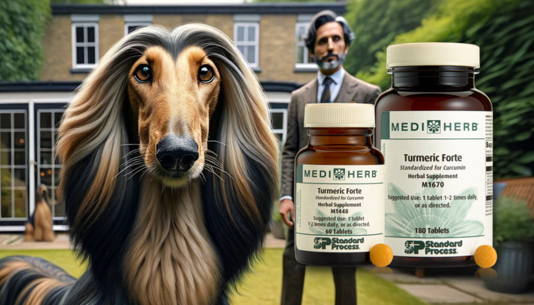 Turmeric Forte for Dogs Journeys Holistic Life