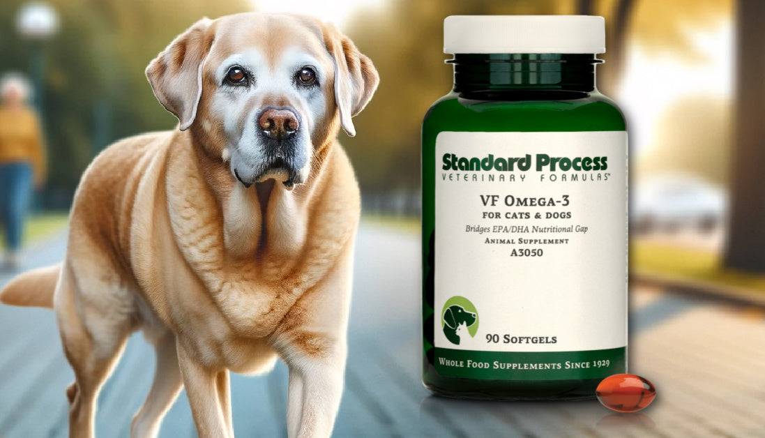 VF omega 3 for pets standard process