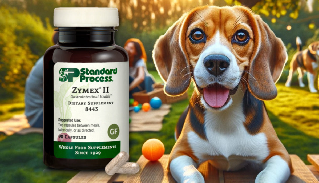 Zymex II for dogs