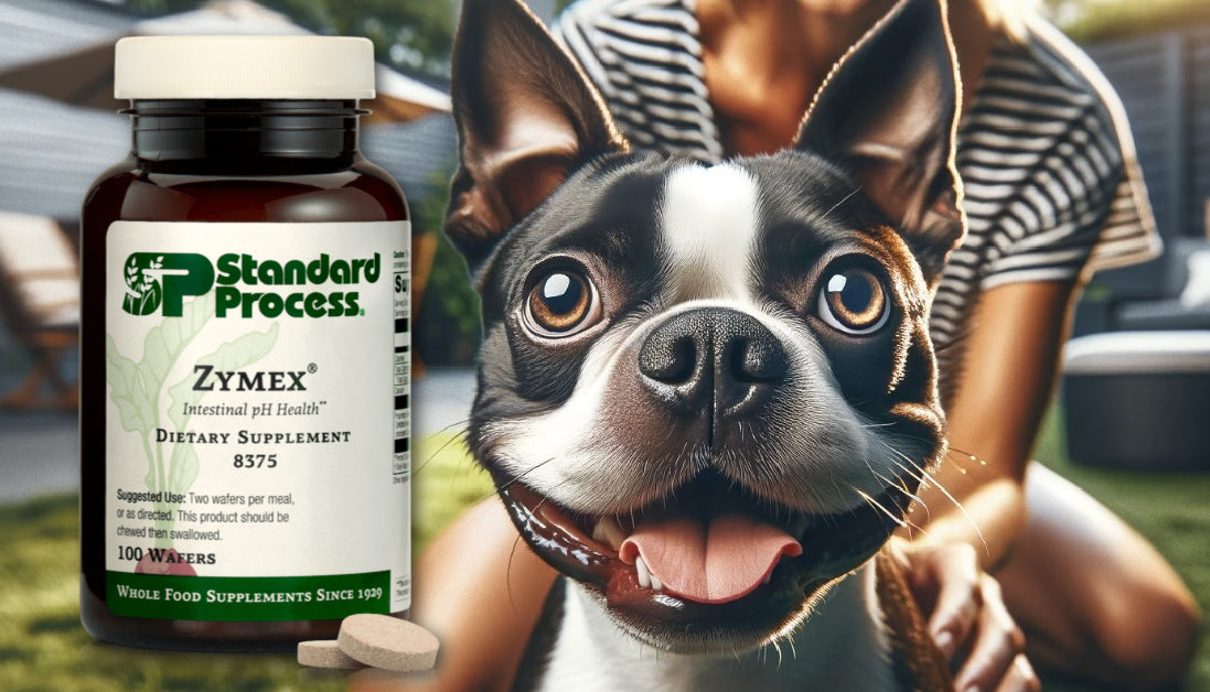 zymex wafers for dogs standard process