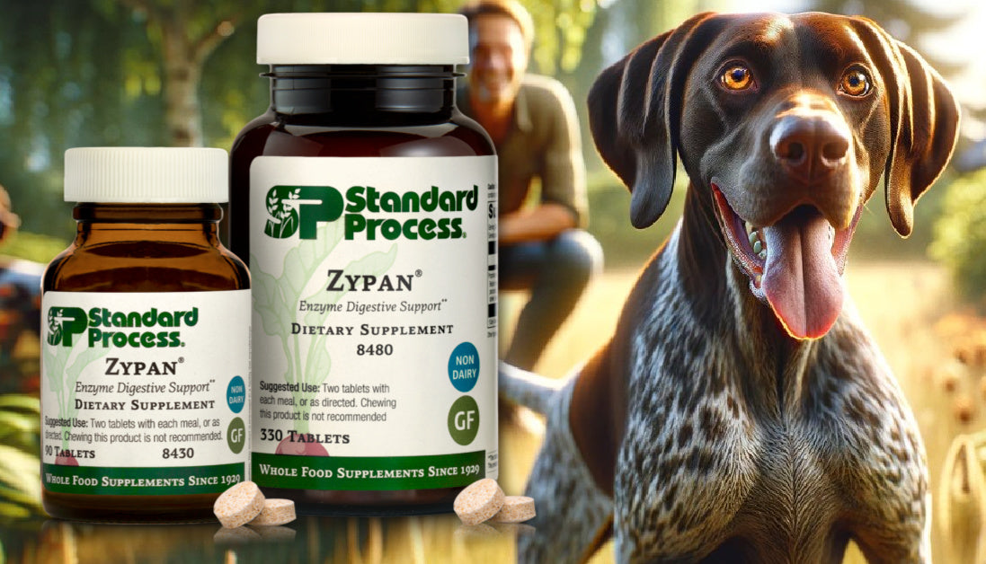 zypan for dogs standard process