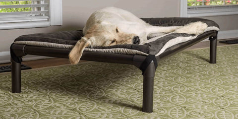 Kuranda Dog Bed Elevated