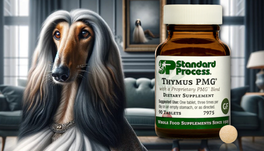 thymus PMG for dogs journeys holistic life