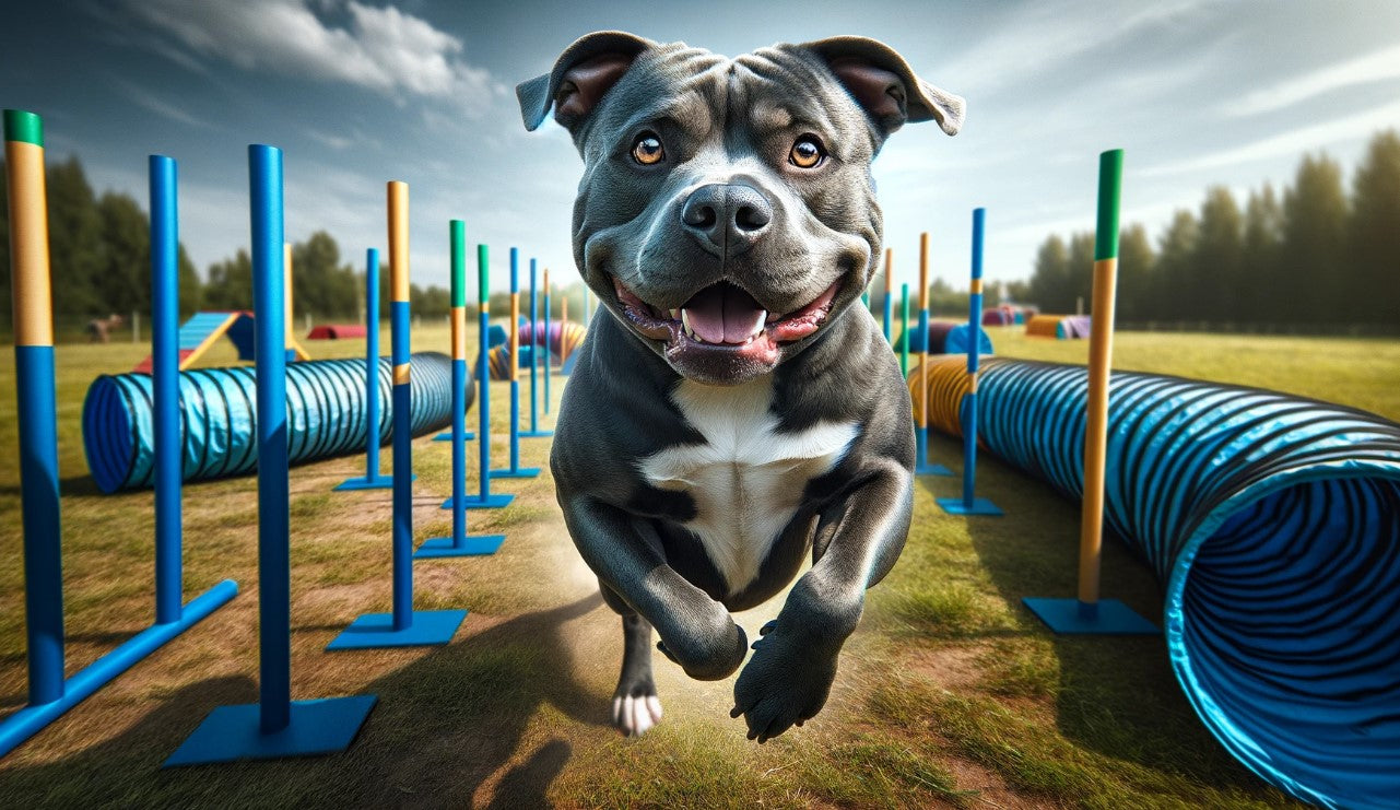 training games for blue pitbulls