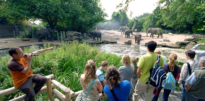 Le zoo de Rotterdam, en Hollande.