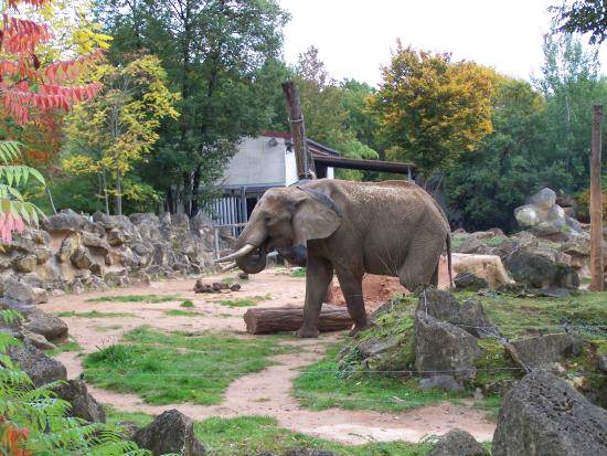 Zoo d'Amnéville