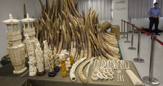Confiscation d'objets en ivoire