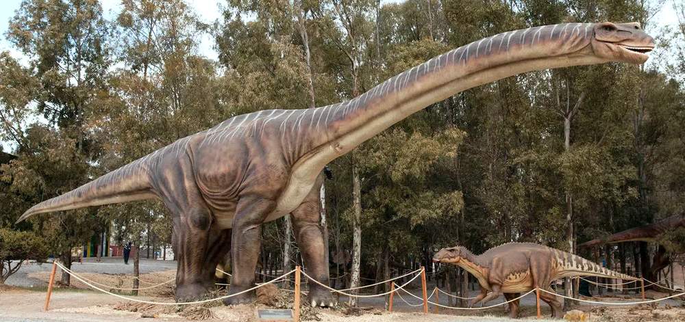 Une reconstitution d'Argentinosaurus.