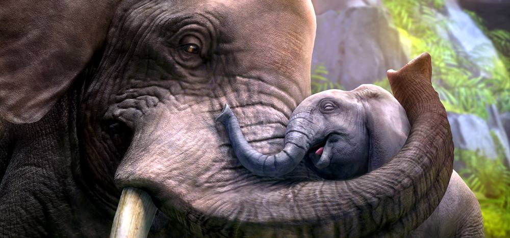 L'amour d'une mère pour son éléphanteau : une note émouvante pour finir !