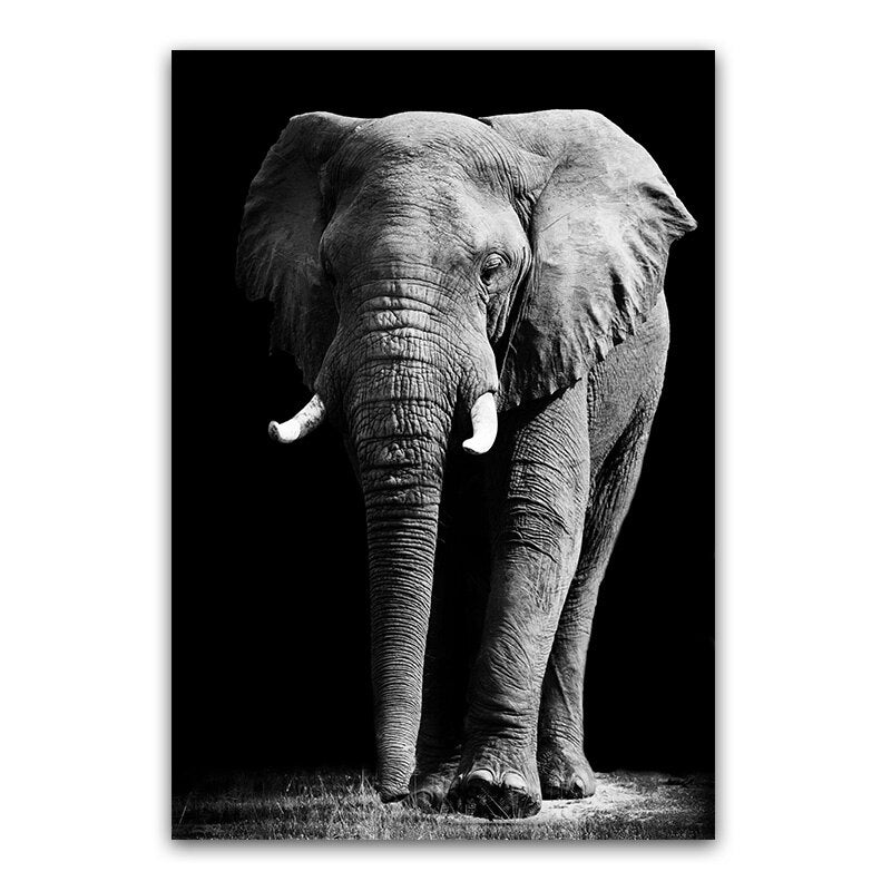 Tableau Elephant Noir Et Blanc Corps Debout Imprime Sur Toile Esprit Elephant