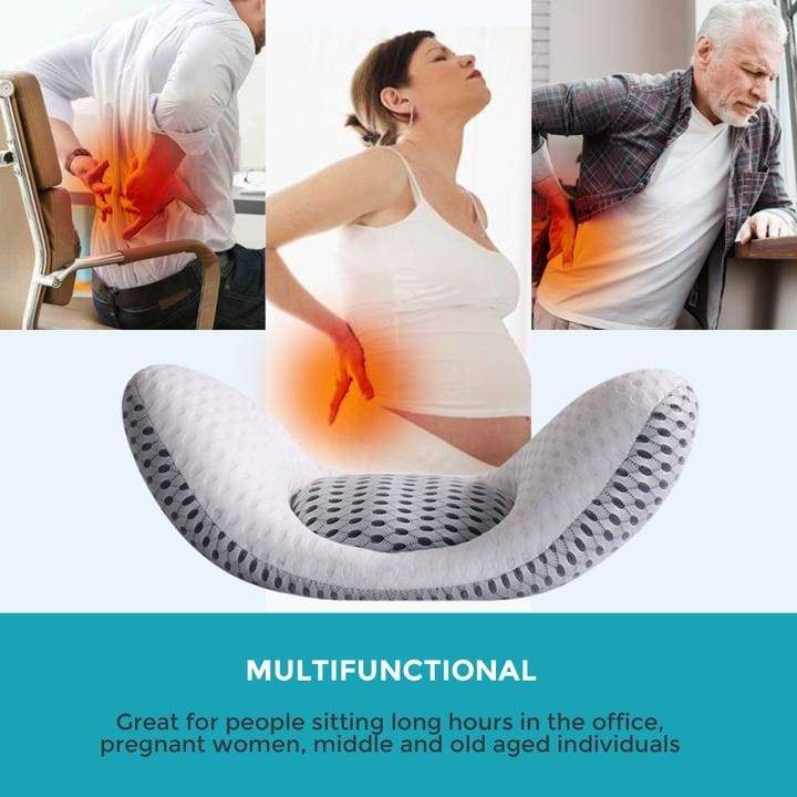 Lumbarbuddy 3d Back Support Pillow Fleekes