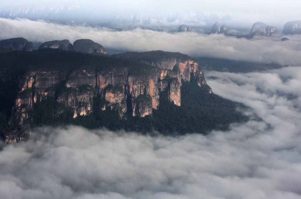 Parc naturel national de la Serranía de Chiribiquete