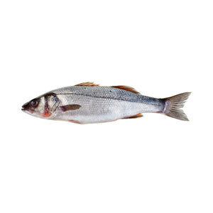 Fresh Branzino - each