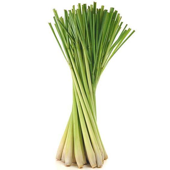 Lemon Grass - per bunch