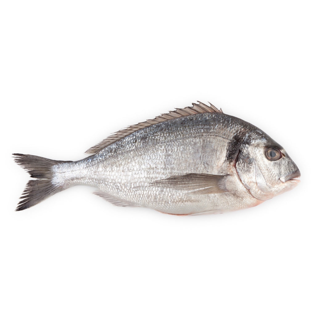 Fresh Sea Bream - each