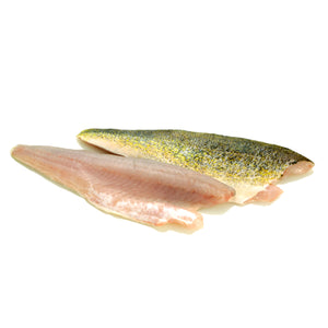 Fresh Wild Pickerel Fillet - per 1/2 lb