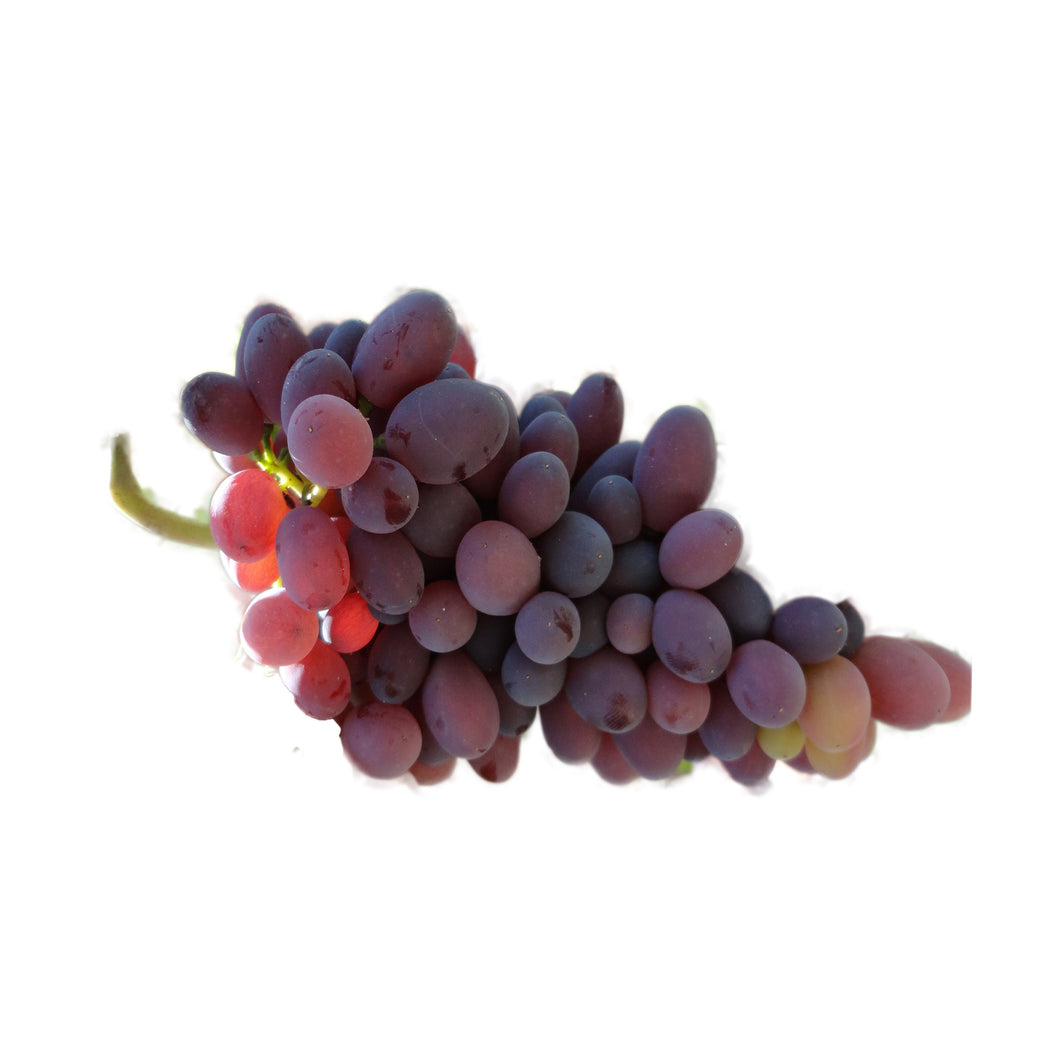 Sweet Champagne Grapes - per lb