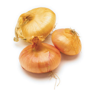 Cippolini Onions - per lb