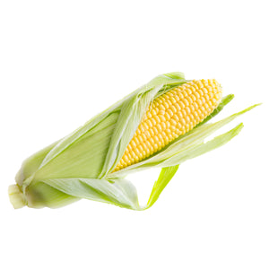 Ontario Sweet Corn - bundle of 6