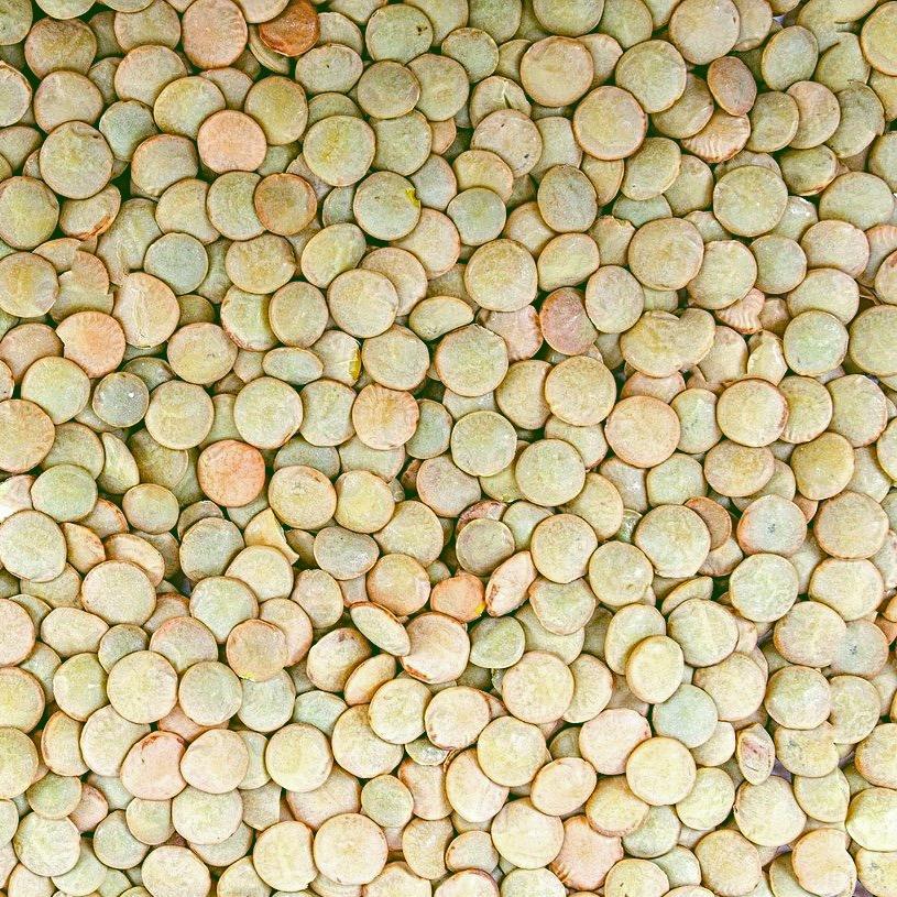 Green Lentil Whole - per lb