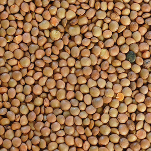 Organic Brown Lentils - per lb