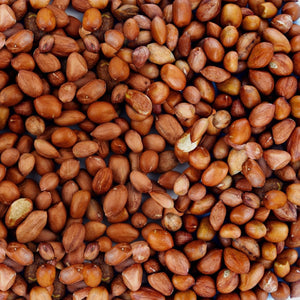 Redskin Roasted Peanuts No Salt - per lb