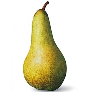 Abate Pears - per lb