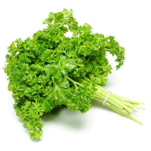 Curly Parsley - per bunch