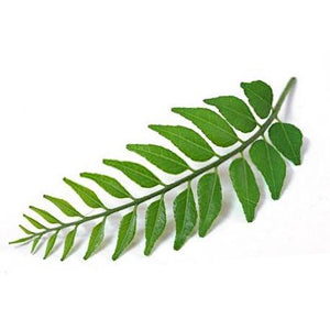 Curry leaf - per bunch