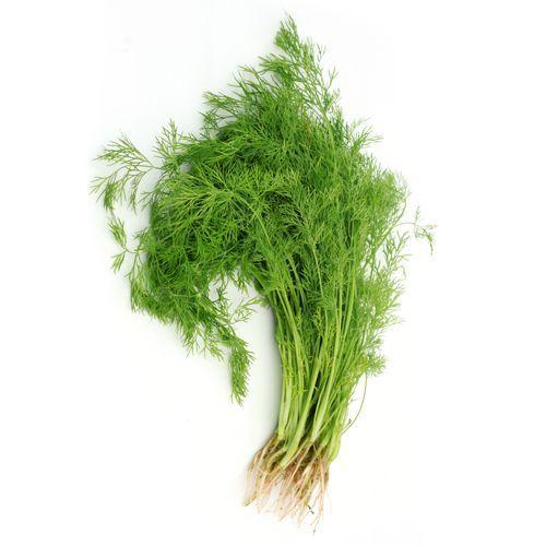 Dill - per bunch