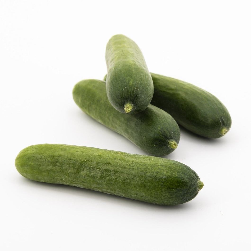 Field Cucumber - per box