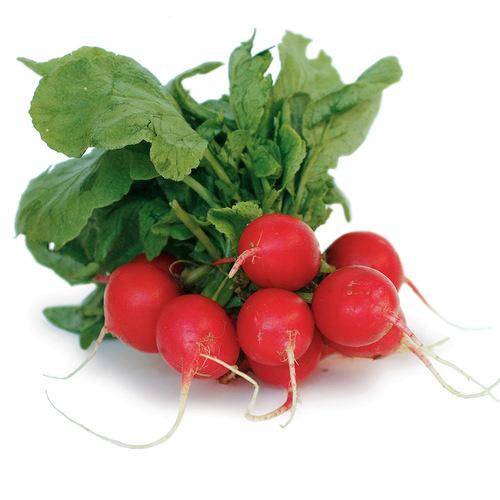 Radish - per bunch