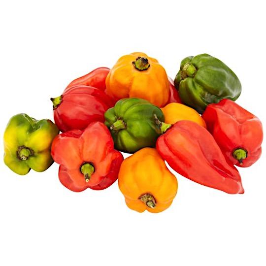 Scotch Bonnet Pepper - per lb