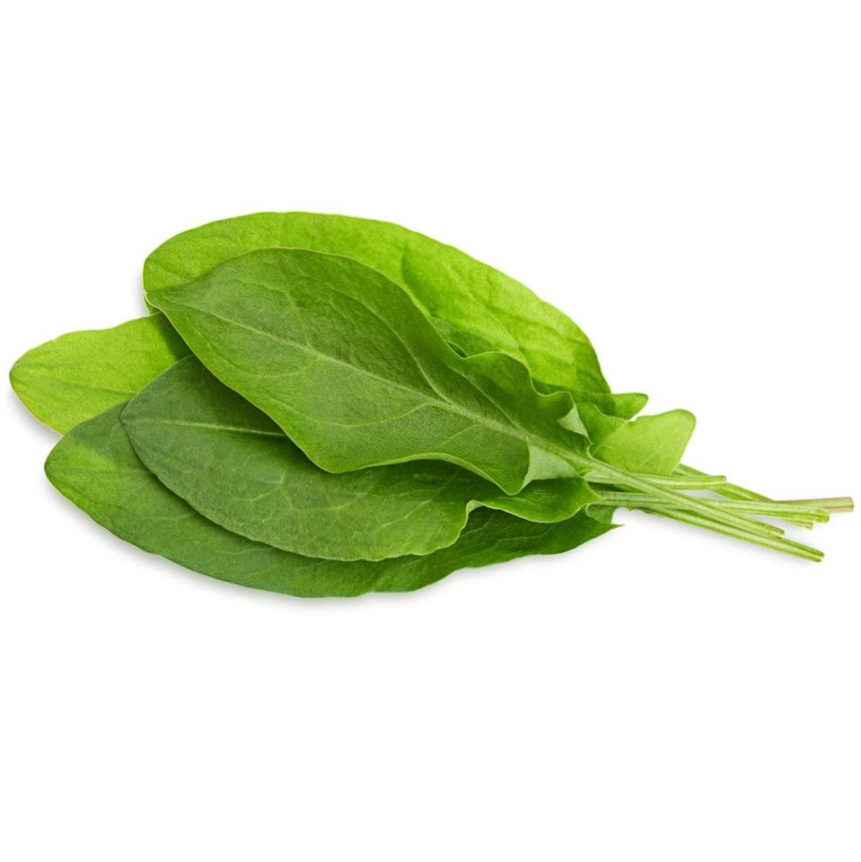 Sorrel - per bunch