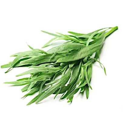 Tarragon - per bunch