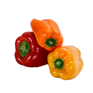 Organic Bell Peppers - per lb