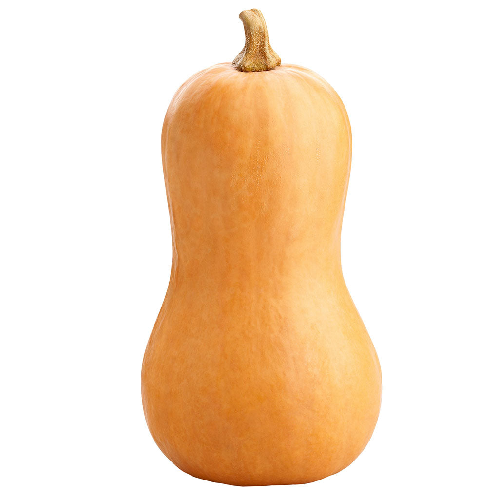 Butternut Squash - each (2.75-3LBS)