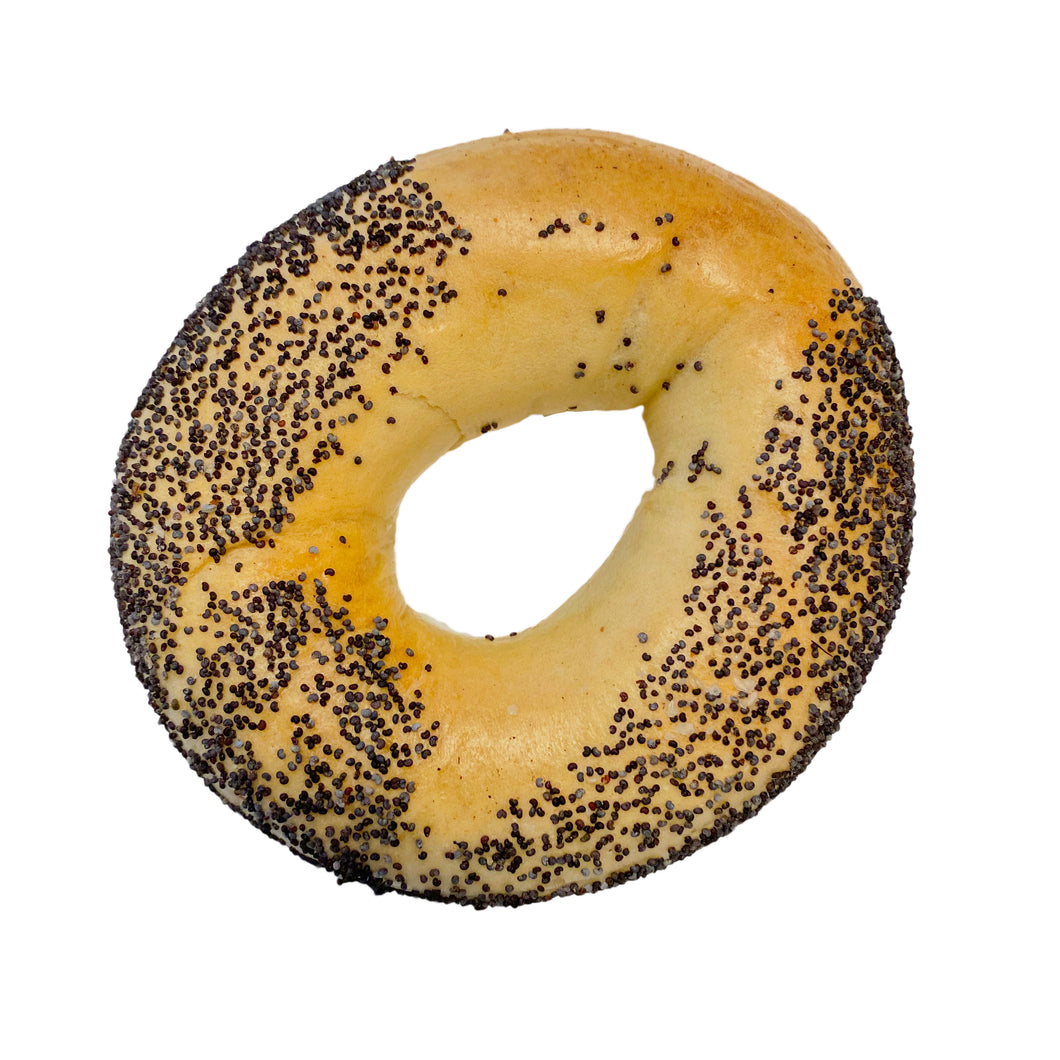 Poppy Seed Bagel