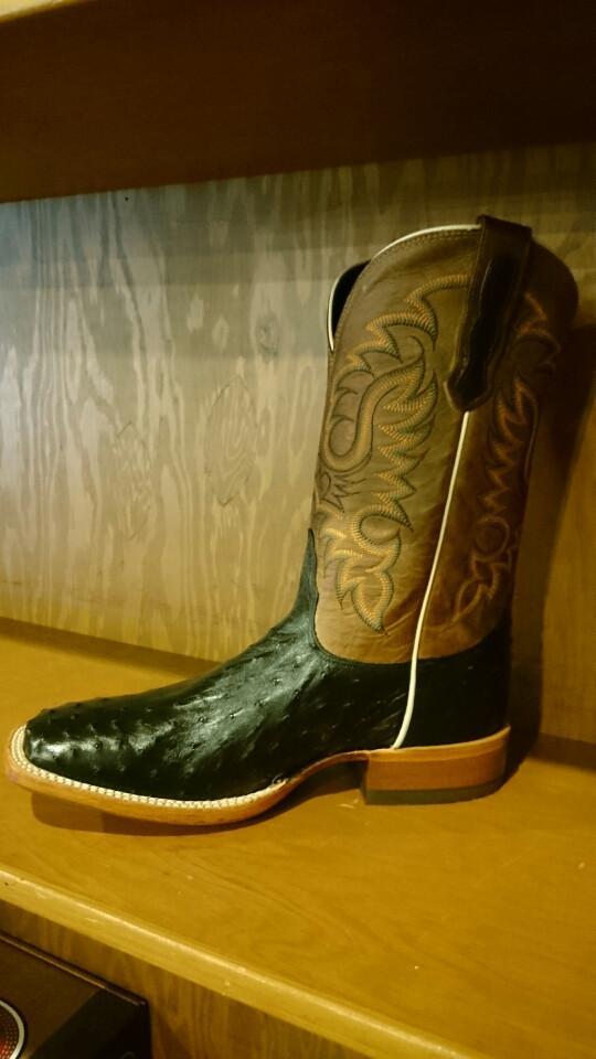 nocona boots ostrich