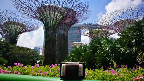 MakakaOnTheRun Triple Slim Wallets beim Reisen Singapur Singapore Gardens by the bay