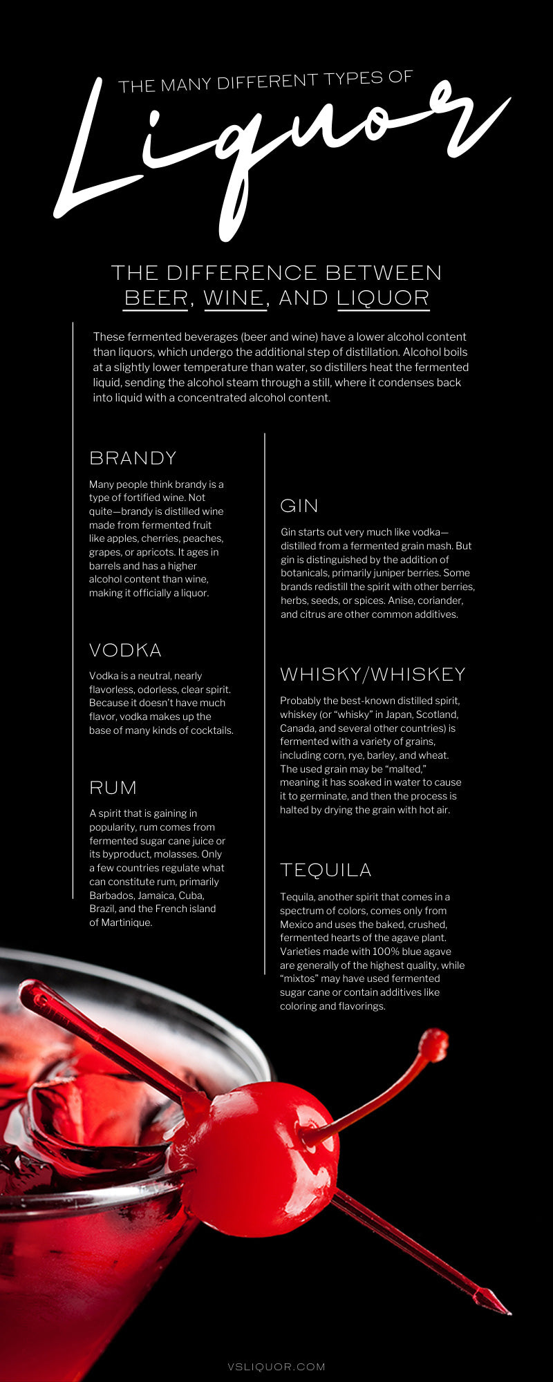The Many Different Types of Liquor - VS