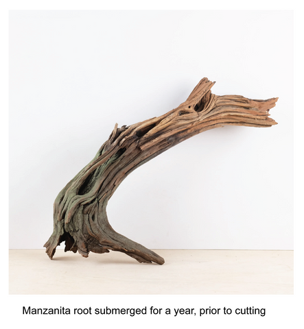 manzanita driftwood