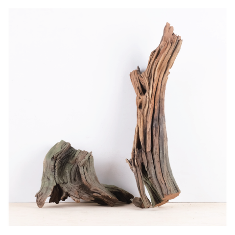 manzanita driftwood